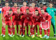 九游娱乐官方网站-包含瑞士队实力出众，欧洲杯参赛资格在望的词条