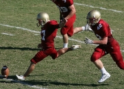 九游官网-橙色风暴的精密齿轮，荷兰战术棋盘如何锁定喀麦隆的野性奔袭