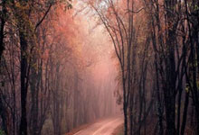 九游体育平台-铁蹄踏碎蓝衫梦！法兰西青春风暴颠覆亚平宁王权