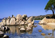 九游VIP-惜败之夜：国米黎明前的黑暗博弈，欧冠小组赛焦点战深度剖析